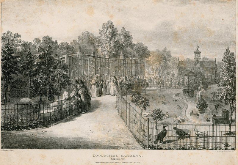 Giardini Zoologici, Regents Park da English School
