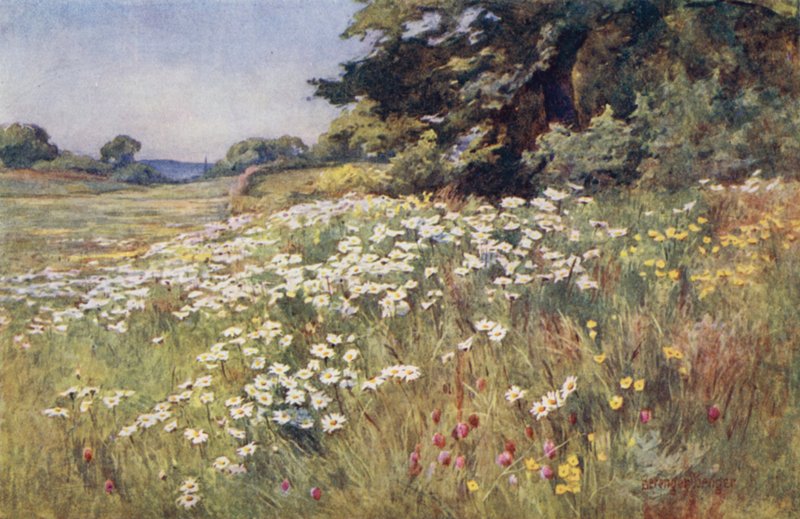 Soleggiato nel prato da Ernest Benger or Berenger