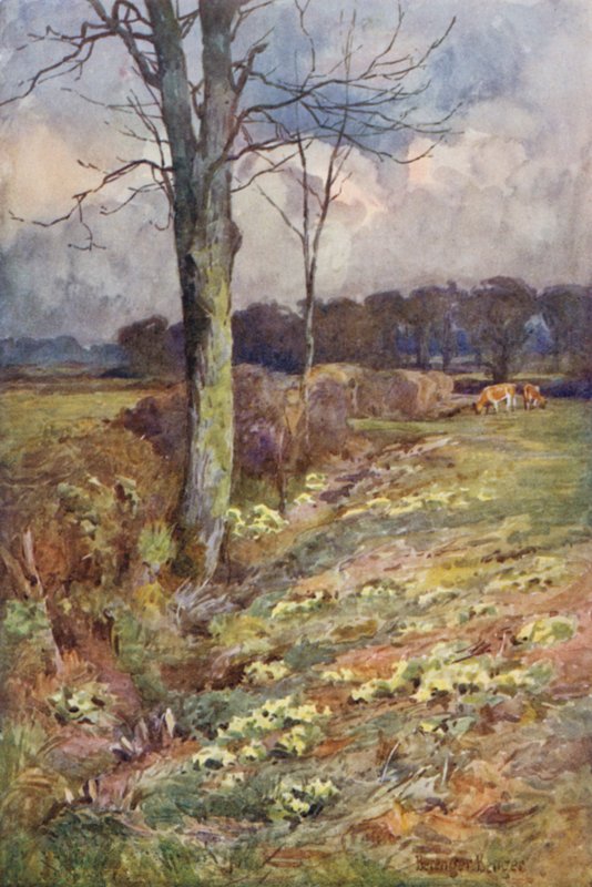 La vista che si allarga da Ernest Benger or Berenger
