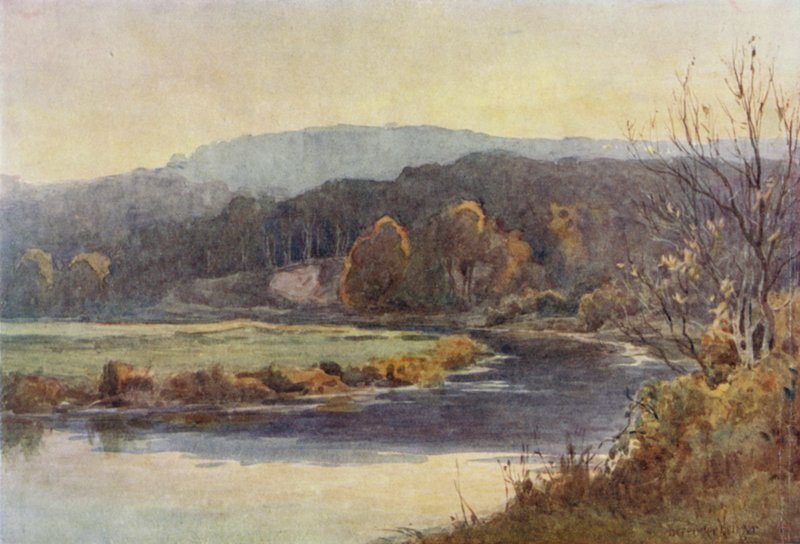 Il bosco e il corso d