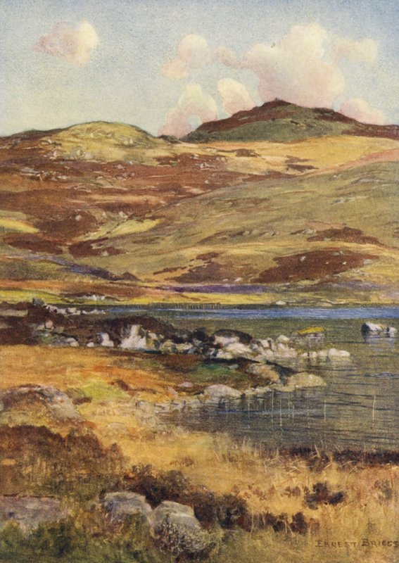 Loch Skae da Ernest Edward Briggs