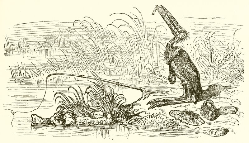 Il pescatore e il piccolo pesce da Ernest Henry Griset