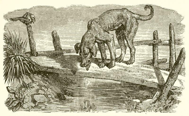 Il Cane e la sua Ombra da Ernest Henry Griset