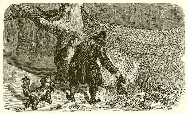 Il cacciatore e il merlo da Ernest Henry Griset