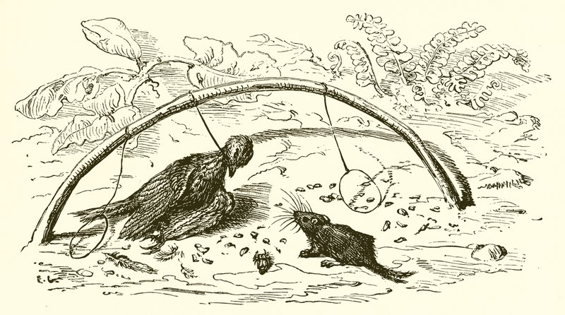 Il cacciatore e l