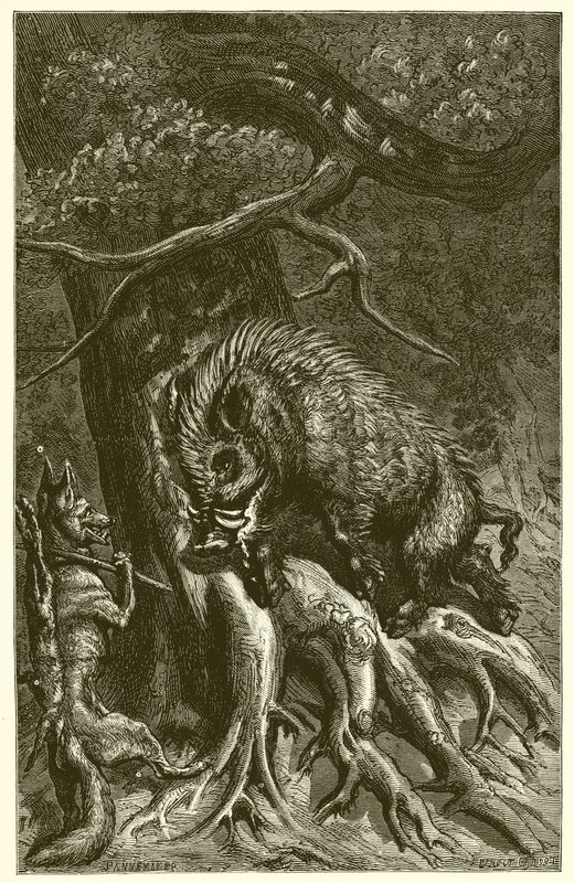 La volpe e il cinghiale da Ernest Henry Griset