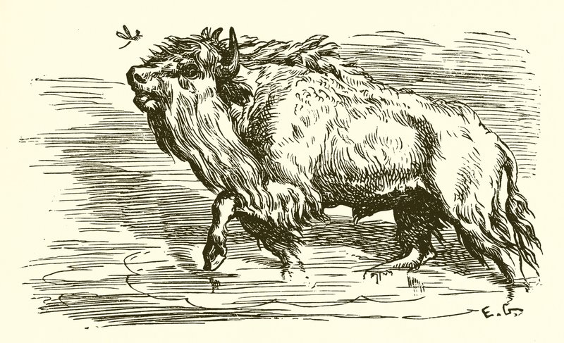 La zanzara e il toro da Ernest Henry Griset