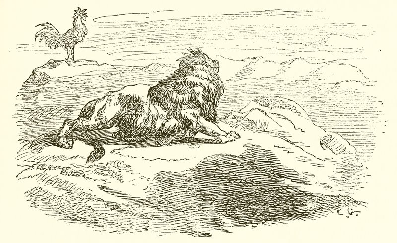 Il leone e l