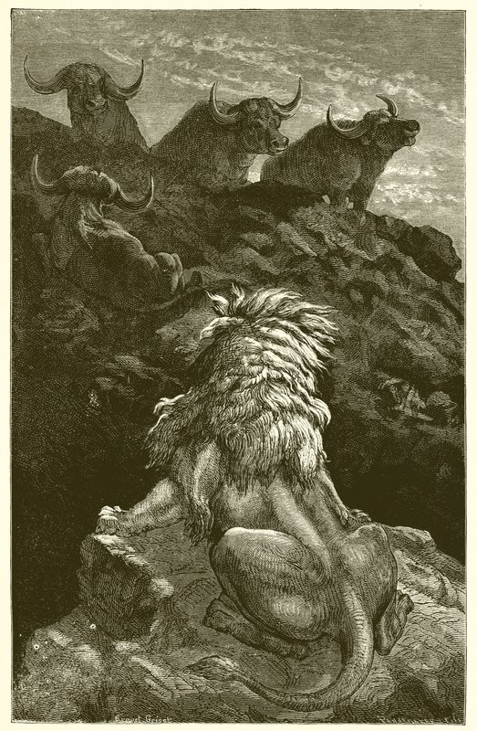 Il leone e i quattro tori da Ernest Henry Griset