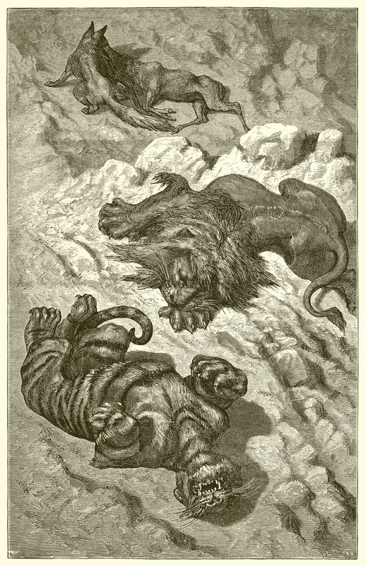 Il leone, la tigre e la volpe da Ernest Henry Griset