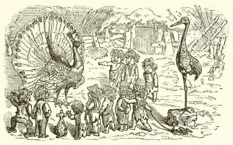 Il Pavone e la Gru da Ernest Henry Griset