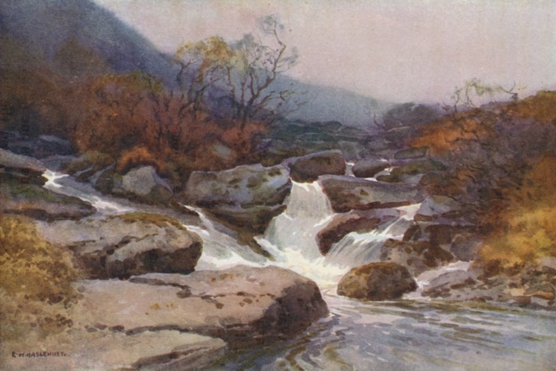 Un Ruscello del Dartmoor da Ernest William Haslehust