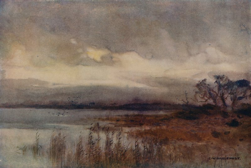 Hickling Broad da Ernest William Haslehust