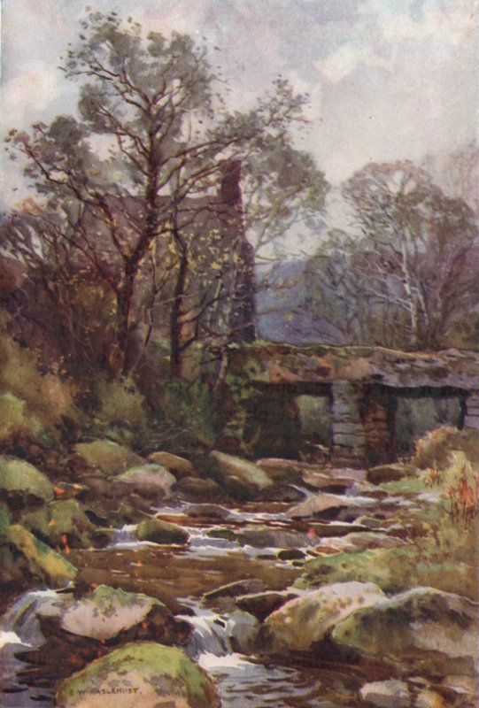 Ponte di Ockery, vicino a Princetown da Ernest William Haslehust