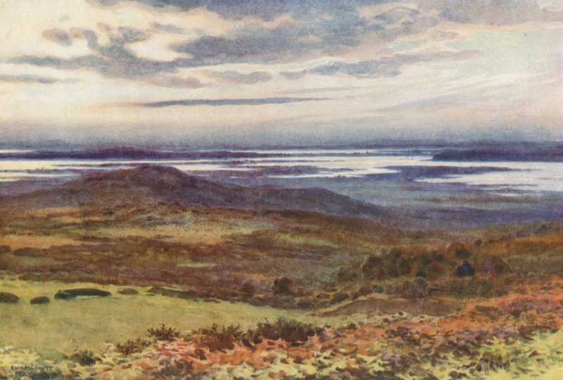 Poole dai campi da golf di Swanage da Ernest William Haslehust