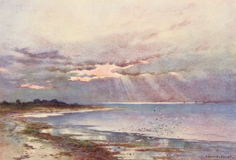 Fiume Tamigi: Guardando a sud verso il Nore da Ernest William Haslehust