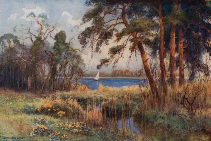 Wroxham Broad, Inizio Primavera da Ernest William Haslehust