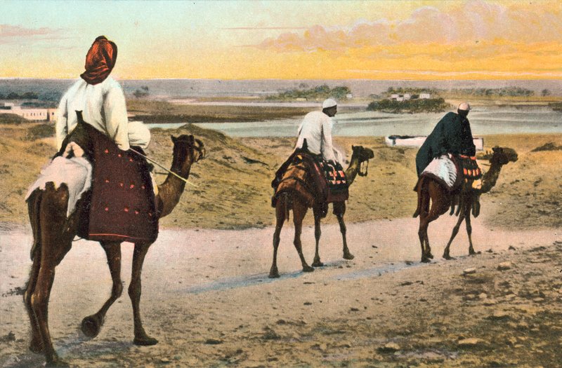 Cammelli, Nord Africa da European Photographer