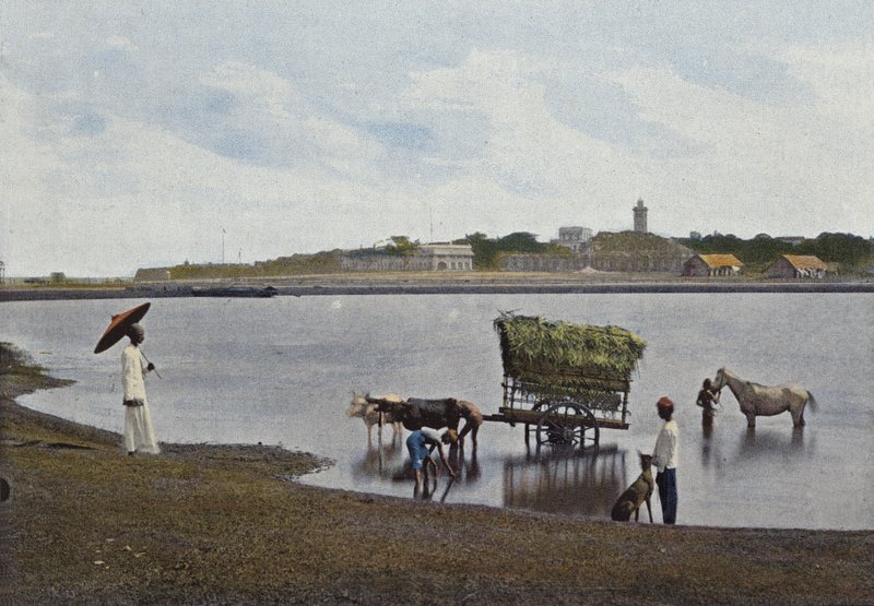 Ceylon, Un Guado Davanti a Colombo da European Photographer
