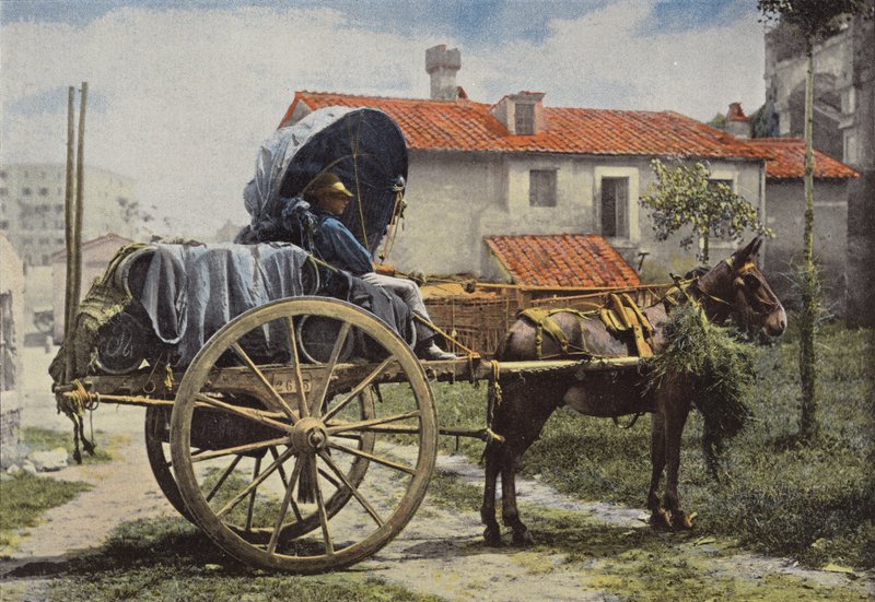 Dintorni di Roma, Carrettiere che trasporta vino da European Photographer