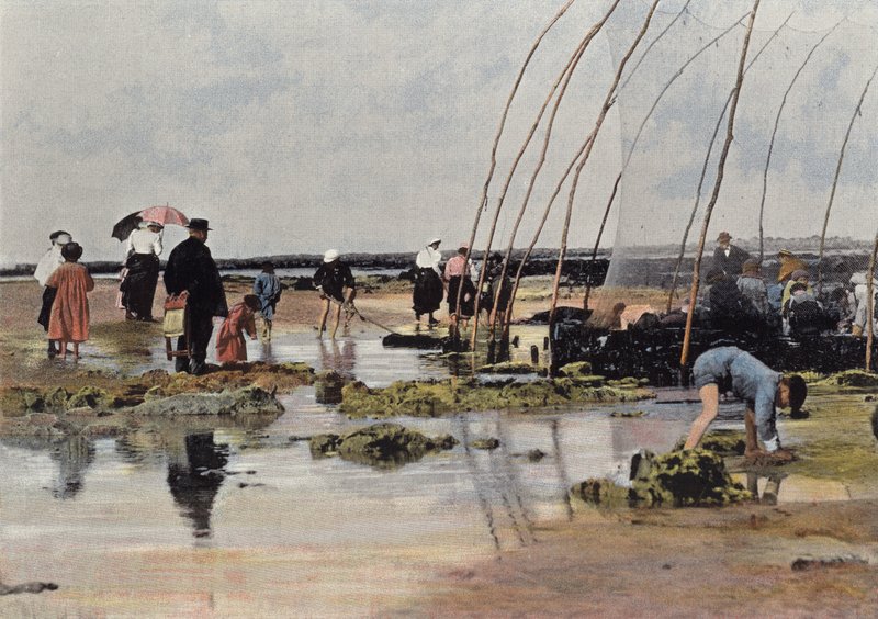 La Pesca intorno al Parco da European Photographer