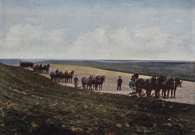 Aratura nelle praterie del Manitoba da European Photographer