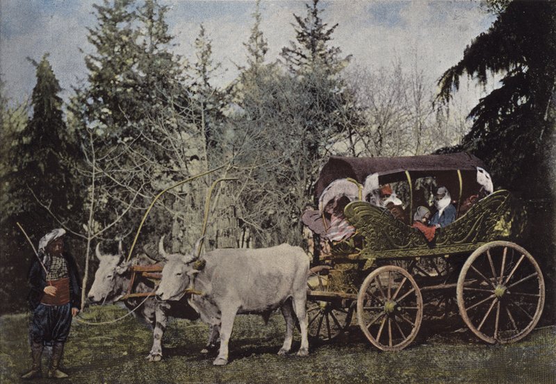 Carrozza da passeggio delle dame turche da European Photographer