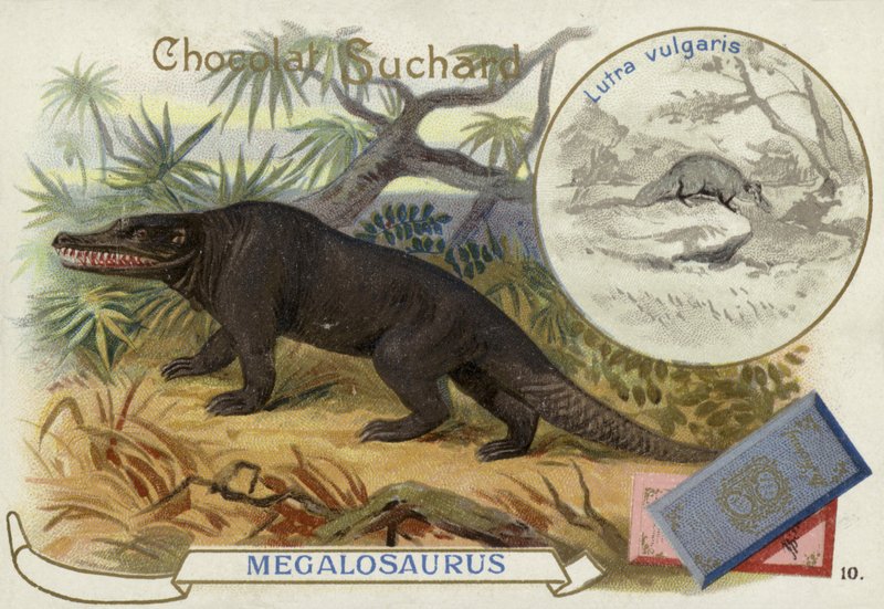 Megalosauro e lontra da European School