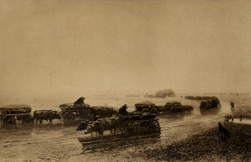 Sentiero del carro di buoi a Mariupol, 1875 da European School