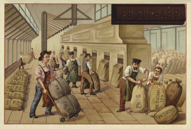 Imballaggio di sacchi di cacao in una fabbrica da European School