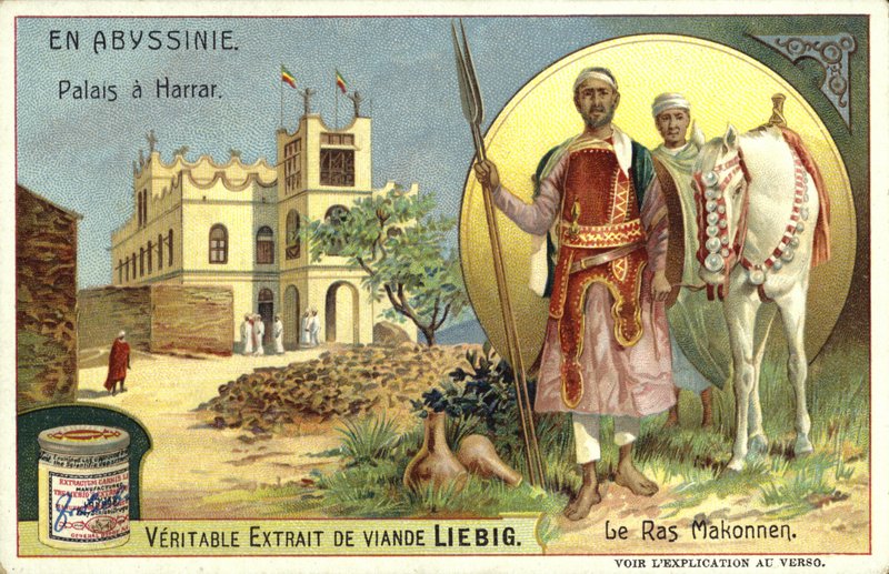 Palazzo di Harar e Ras Makonnen, Etiopia da European School