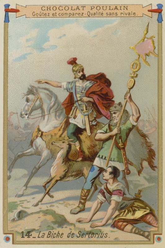 La cerva di Sertorio da European School