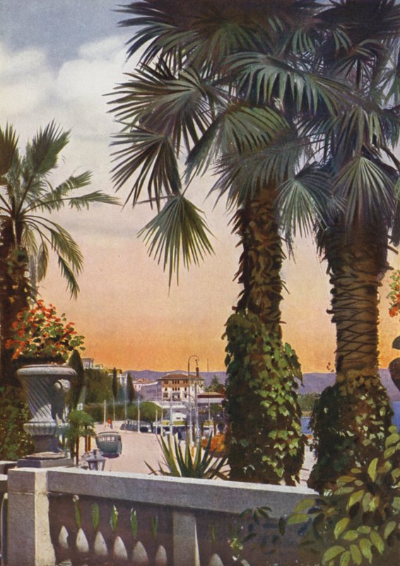Abbazia, ora Opatija in Croazia: Veduta di palme dall