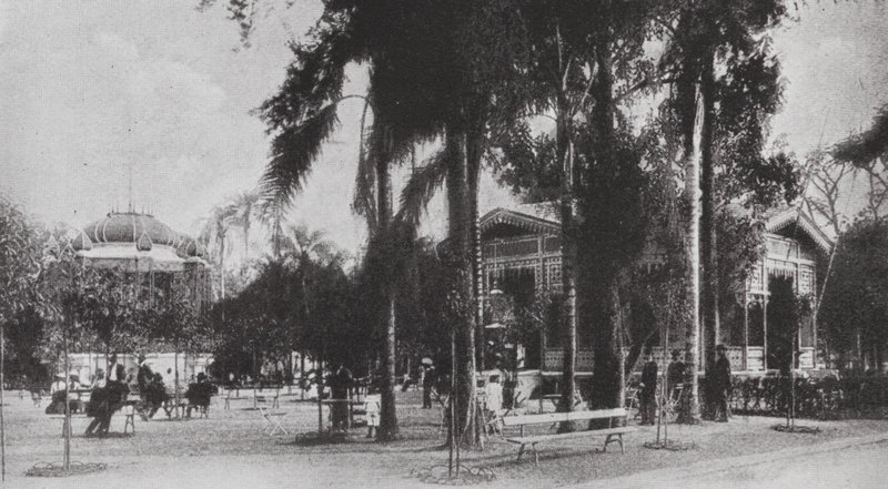 Brasile: San Paolo, Jardim da Luz (foto b/n) da European Photographer