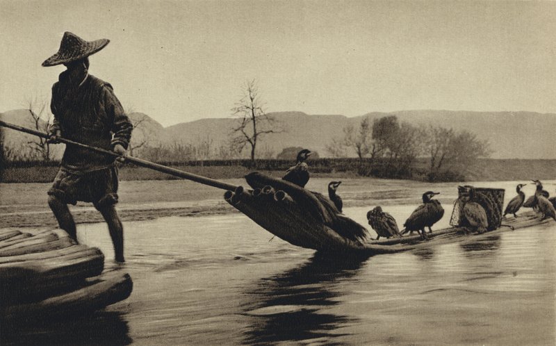 Cina, pesca con cormorani da European Photographer