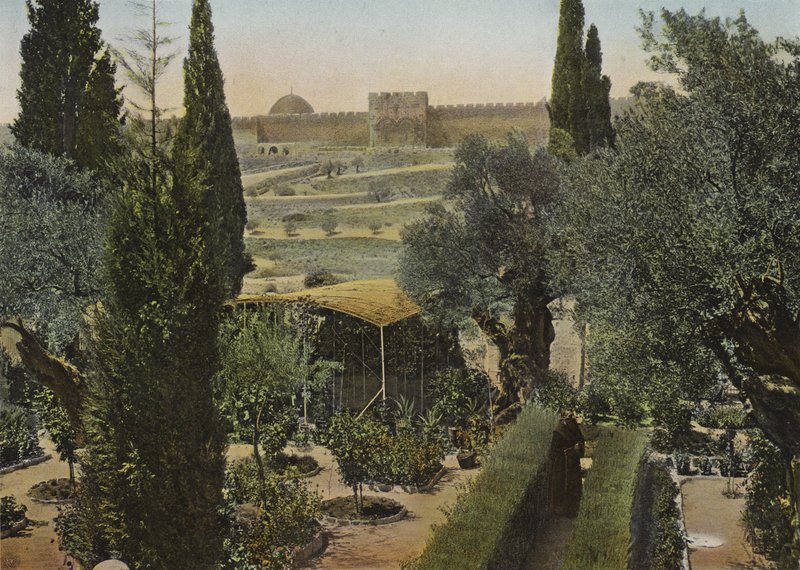 Giardino del Getsemani da European Photographer