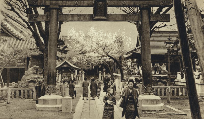 Giappone, Strada a Tokyo, periodo della fioritura dei ciliegi da European Photographer