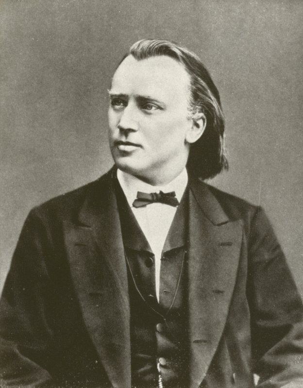 Johannes Brahms, ritratto, c. 1876 da European Photographer