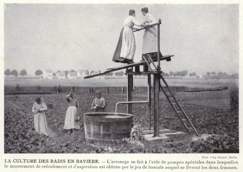 La coltivazione dei ravanelli in Baviera da European Photographer