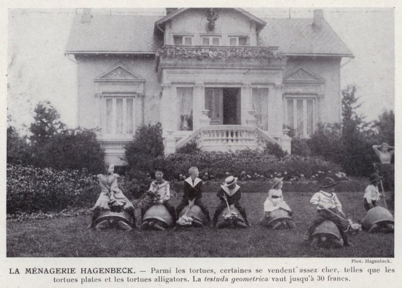 La Menagerie Hagenbeck da European Photographer