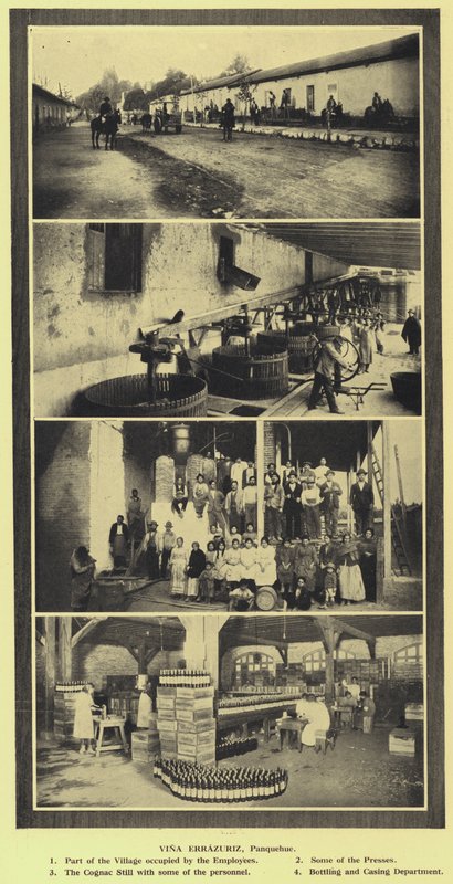 Cantina Vina Errazuriz, Panquehue, Cile da European Photographer