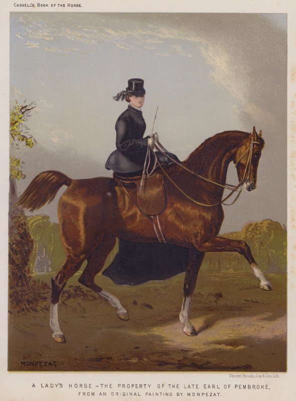 Il cavallo di una signora, proprietà del defunto Conte di Pembroke (litografia a colori) da European School