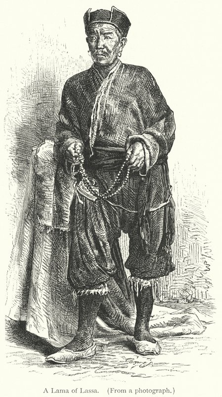 Un Lama di Lassa da European School