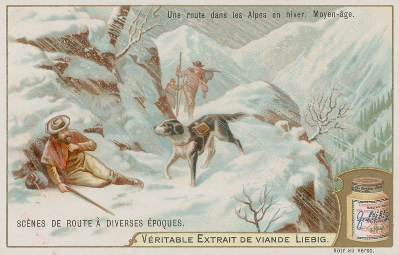 Una Strada Medievale sulle Alpi in Inverno da European School
