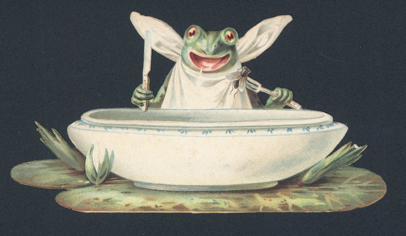 Una rana che mangia una mosca (litografia a colori) da European School