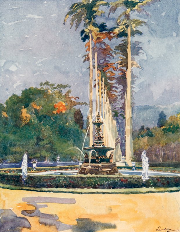 Una porzione del Viale delle Palme Reali, Giardino Botanico (litografia a colori) da European School