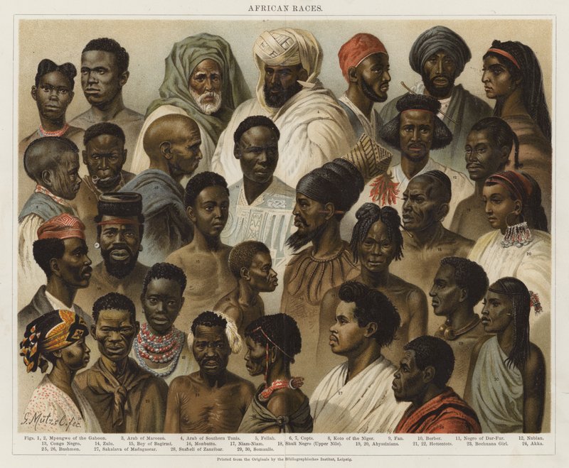 Razze africane da European School