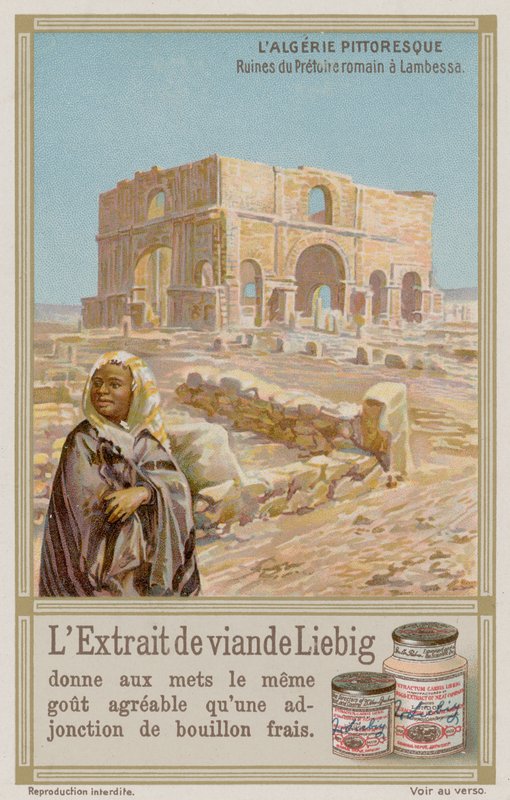 Rovine romane antiche a Lambaesa da European School