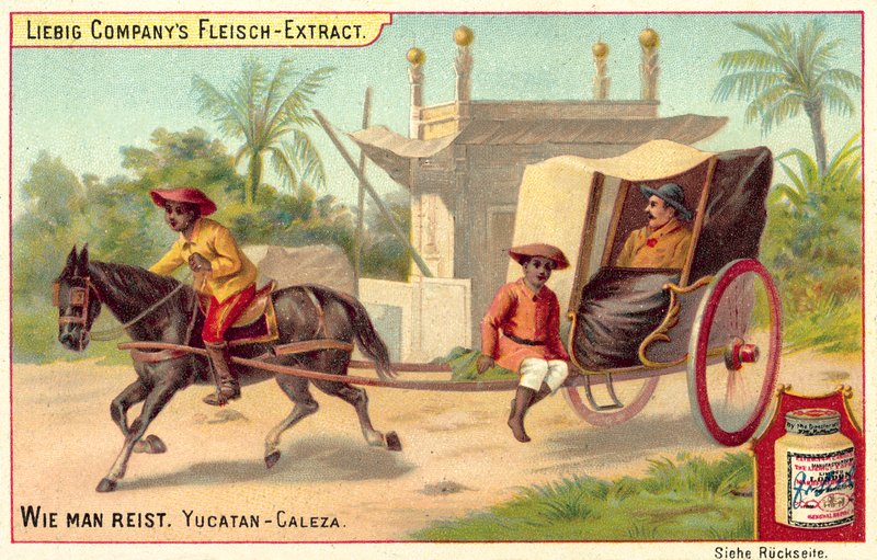 Caleza nello Yucatan da European School
