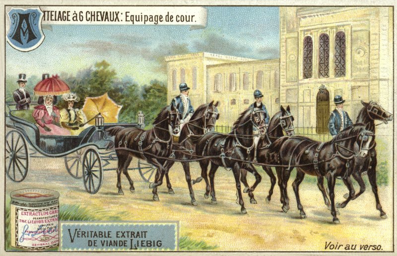 Carrozza trainata da sei cavalli da European School